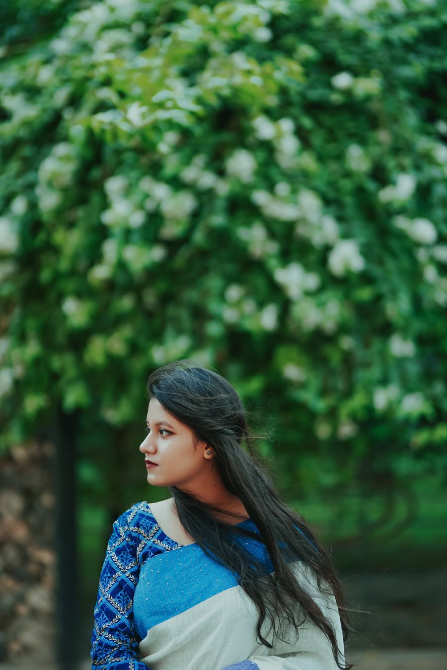 Ivory saree with indigo embroidered blouse
